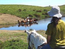 Portugal-Northern Portugal-Introduction to Trail Riding in Peneda Gerês